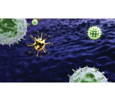 A Common Virus That May Accelerate Immune 